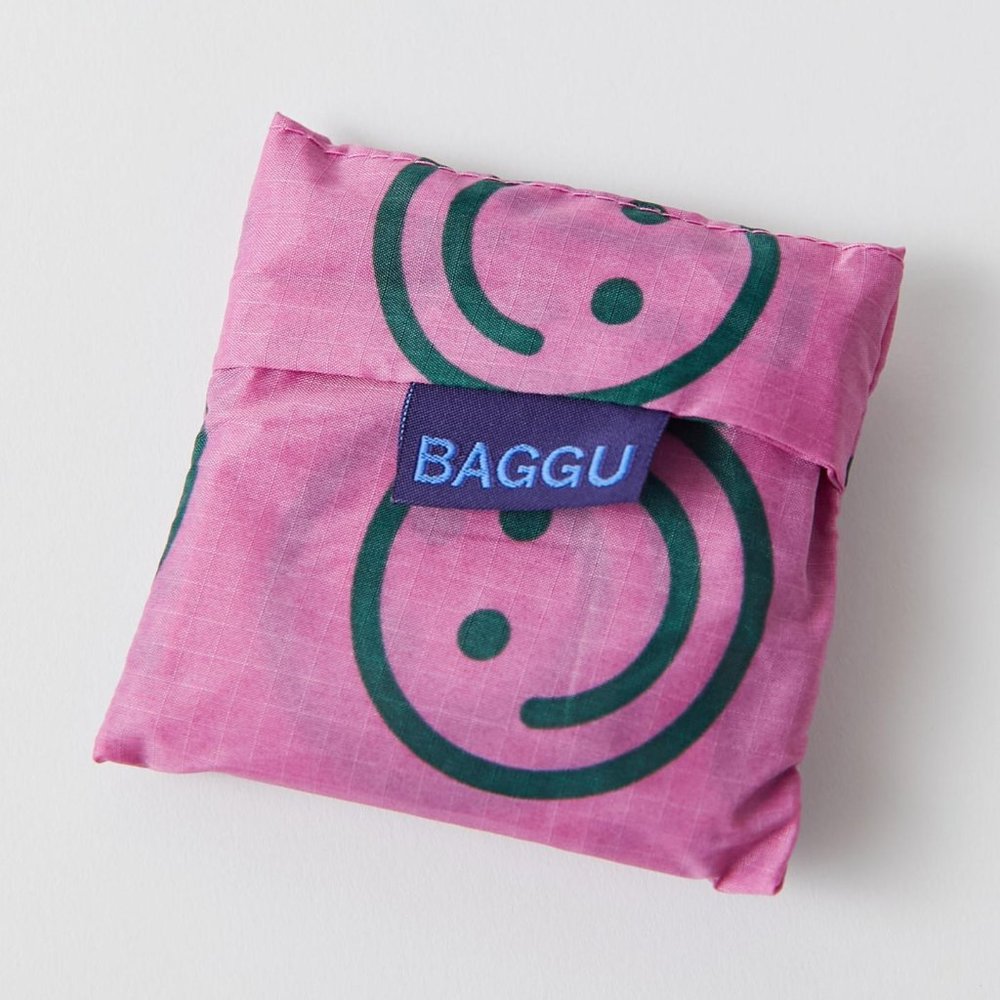 NWT Standard Baggu - Raspberry Happy